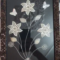 گل نقره کاملا سالم