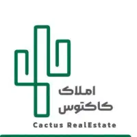 استخدام مشاور املاک، کار اصولی با درآمد خوب