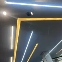 لاینر و هالوژن