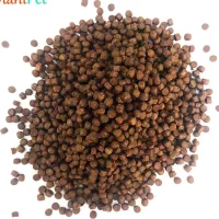 غذای روآبی کپور