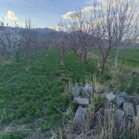 فروش باغ مزروعی