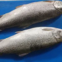 کارگار ساده بسته بندی