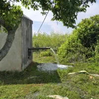 بیجار-سنتی-شالیزار-زمین-کشاورزی-نسق-رشت-به-فومن