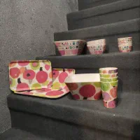 ظروف بامبو نو