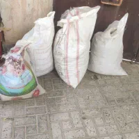 کود کفتر