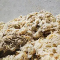 پشم گوسفند روسی