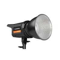 ویدیو لایت YM600