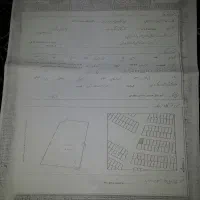 زمین مسکونی جوانی جمیعت و فرزنداوری