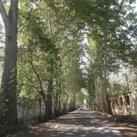 زمین ۴۸۰ متری ورودی مستقل در مهرشهر خیابان چمن