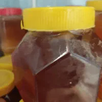 بال