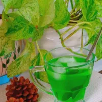 شربت نعنا خونگی