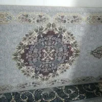 پشتی