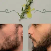 چیزی که دنبالشی اینجاست