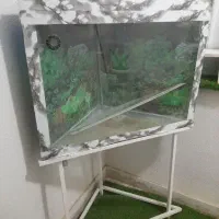اکواریوم ژاپنی