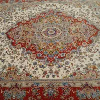 فرس دوازده متری جفت