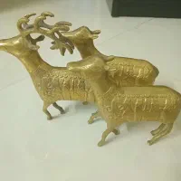 گوزن برنجی
