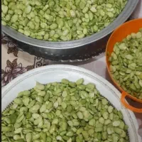 قرمه سبزی و...
