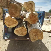 خرید چوب