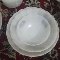 سرویس ارکوپال گل میوه