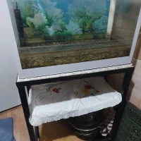 آکواریوم