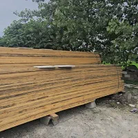چوب نراد روسی