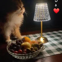 پرشین