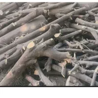 خریدار چوب هستم