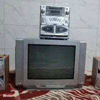 تلوزیون