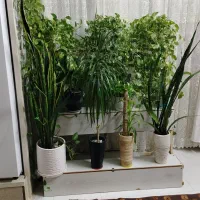 گل و گلدان با پایه 3 طبقه