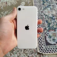 iPhone SE|موبایل|مشهد, امیر|دیوار
