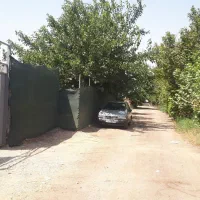 فروش باغچه