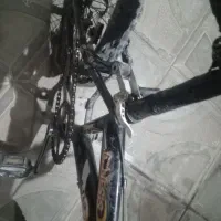 یک عدد دوچرخه بفروش میرسد