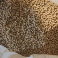 نخود 3 خان کرمانشاه