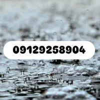 کد ۹ اقتصادی