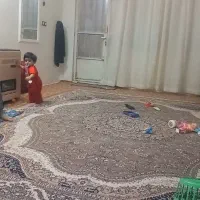 قالی۱۲متری گردویی