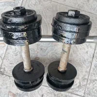 دمبل و هالتر