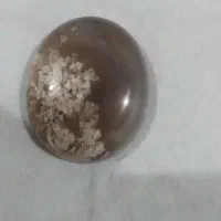 سنگ شجر|جواهرات|کوچصفهان, |دیوار