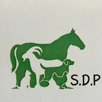 حسابدار خانم یا آقا