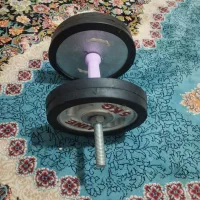 دمبل بدنسازی نو