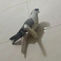 ۳ تا رنگی سری ۷۰۰