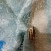 انگشتر نقره .حرزامام جواد
