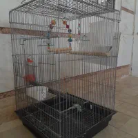 قفس پرنده