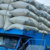 خرید فروش کاه گندم وجو