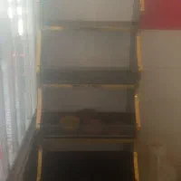 قفسه اجیل و خشکبار