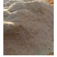 کاه نرم آبی گندوم