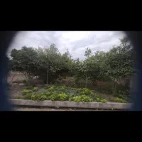 باغ-میوه-در-بافت-روستا-شورابسر