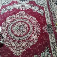 ۲ تخته فرش ۵۰۰ شانه ۱۲ متری