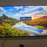تلوزیون ایکس ویژن