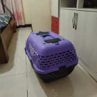 باکس سگ