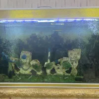 آکواریوم ۲متری